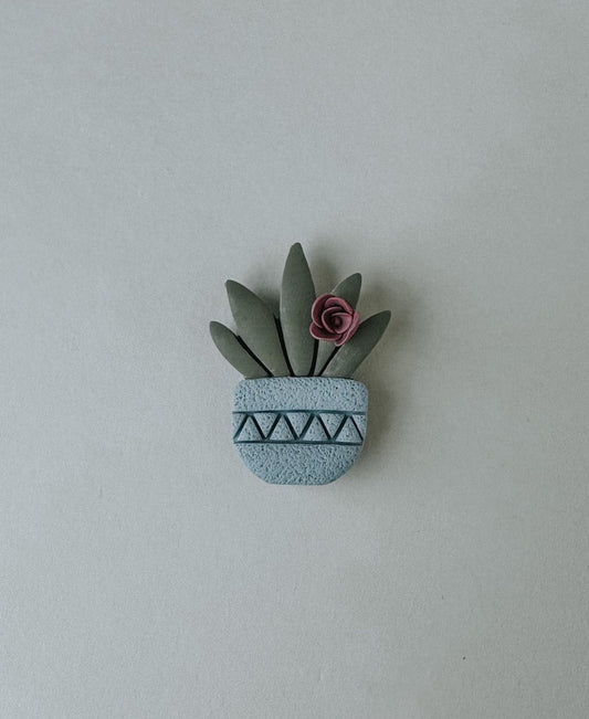 Succulent Magnet