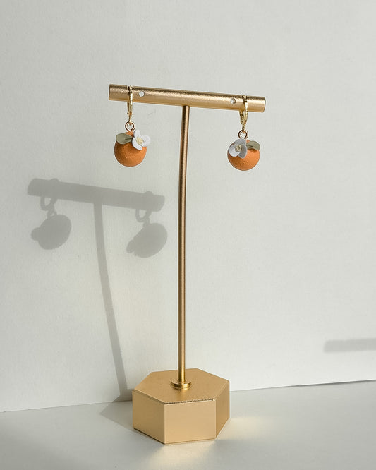 Orange Earrings