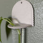 Tatum Plant Propagation Wall Hanging
