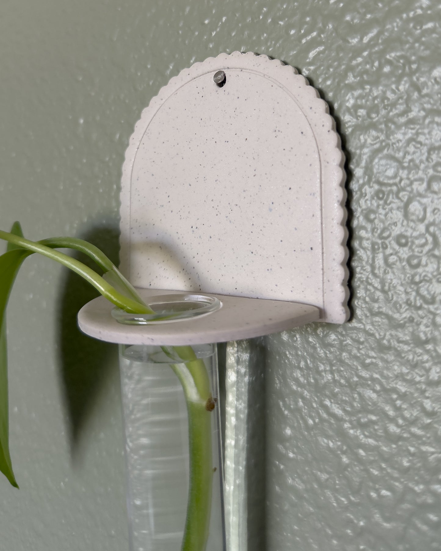 Tatum Plant Propagation Wall Hanging