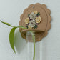 Claire Plant Propagation Wall Hanging