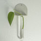 Tatum Plant Propagation Wall Hanging