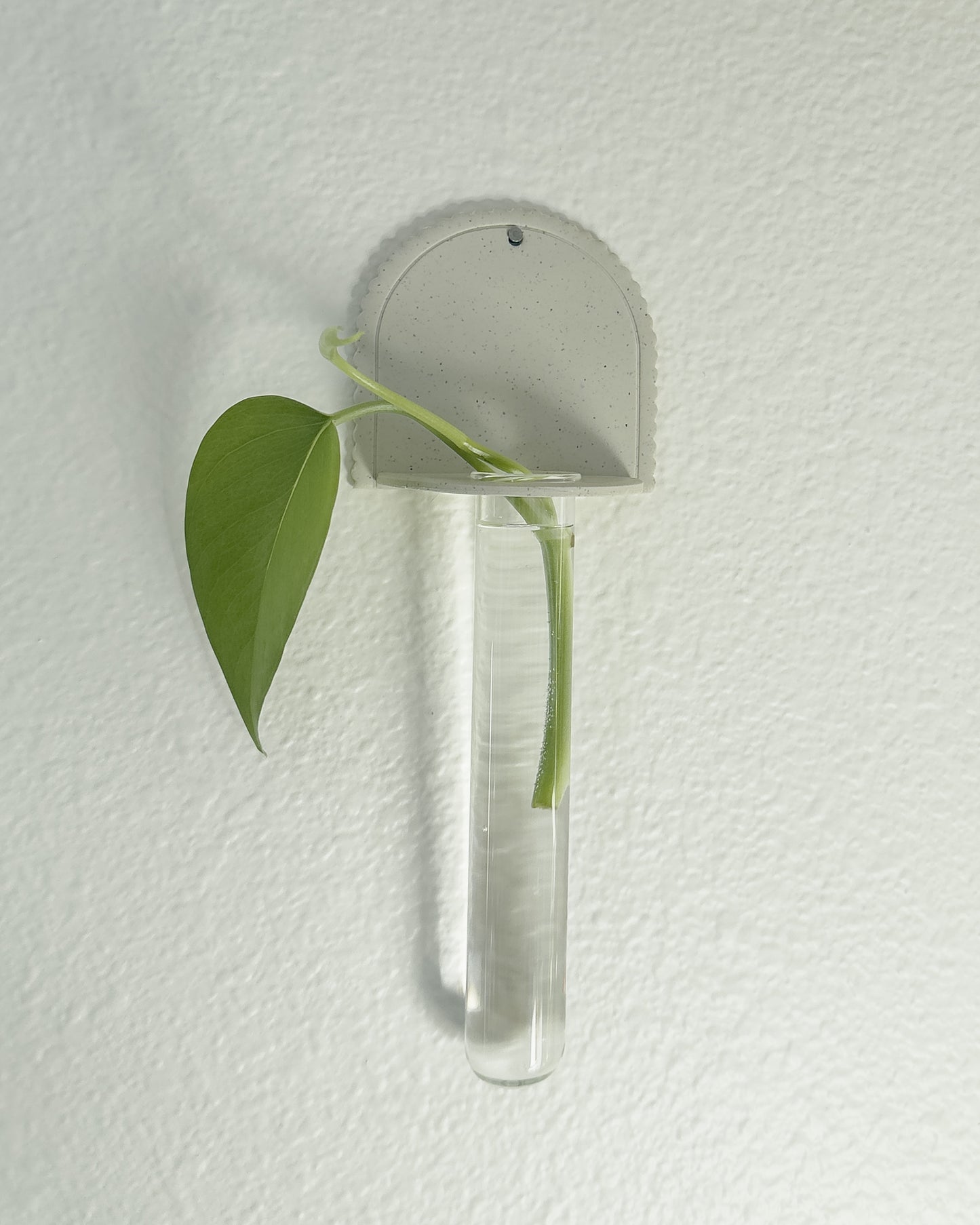 Tatum Plant Propagation Wall Hanging