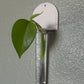Tatum Plant Propagation Wall Hanging