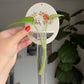 Raven Plant Propagation Wall Hanging