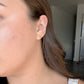 Terra Earrings