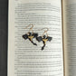 Dragon Earrings - Black & Gold