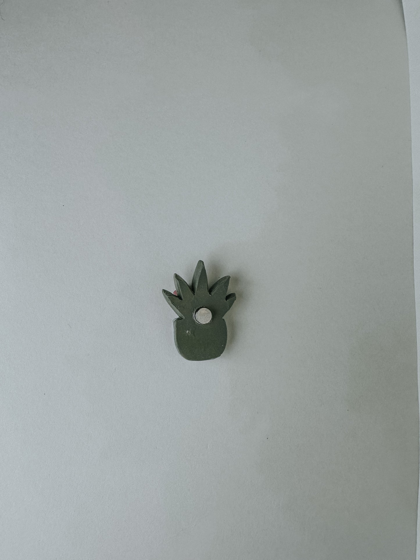 Succulent Magnet